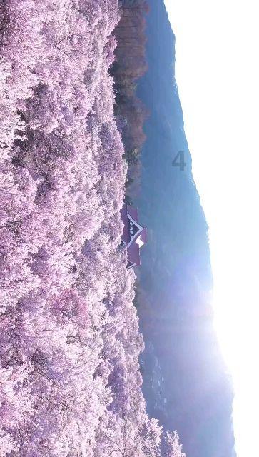 平江县第一人民医院放射科团队学术论文被国际期刊录用